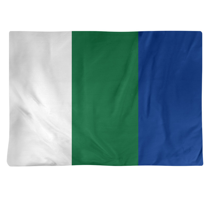 Récapitulatif en coton 18" retour football Seattle, Blanc / Vert