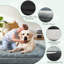 Lit pour chien apaisant pour petits chiens-113506507-113506510
