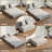 Boneless Queen Folding Sofa Bed – 5-in-1 Convertible Futon Sleeper Chair with Pillows and Side Pockets, Cozy Foam Couch Mattress for Home Office, Guest Room, or Dorm-726902617