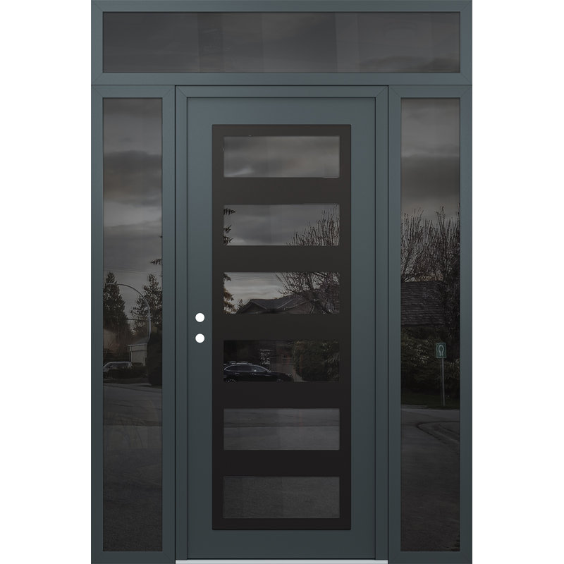 C9 60 po à droite X 96 po Panneau de porte en verre anthracite et anthracite à panneau avec 2 portes latérales et porte d'entrée avant en verre