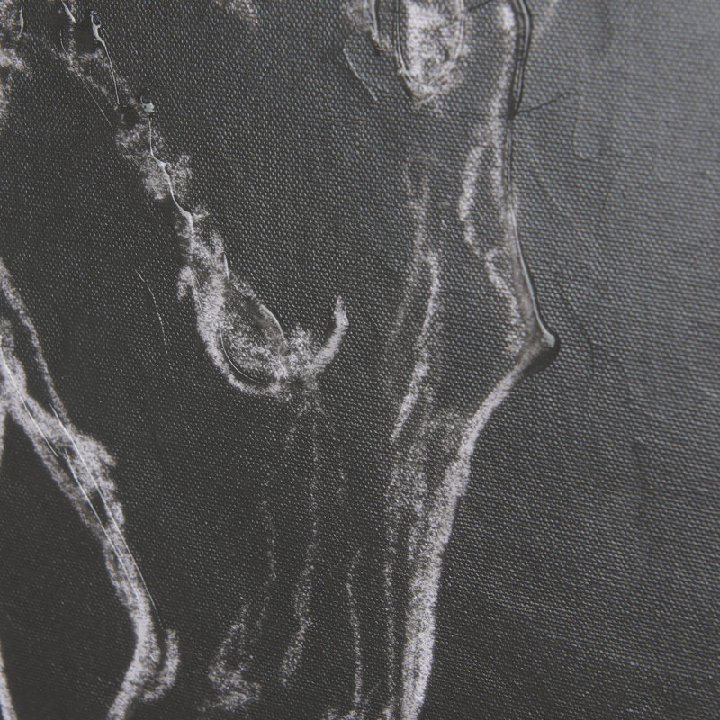 Toile texturée «Horse III a Hand», H 56 po x l 42 po x P 1,5 po