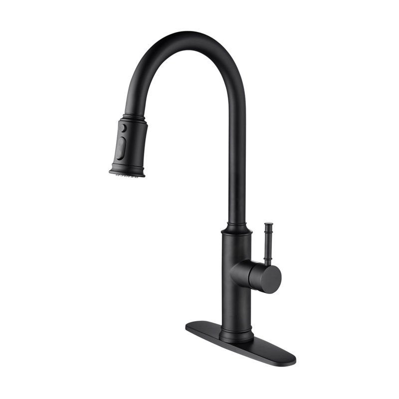 Kitchen Faucet With Pull Out Spraye, Matte Black