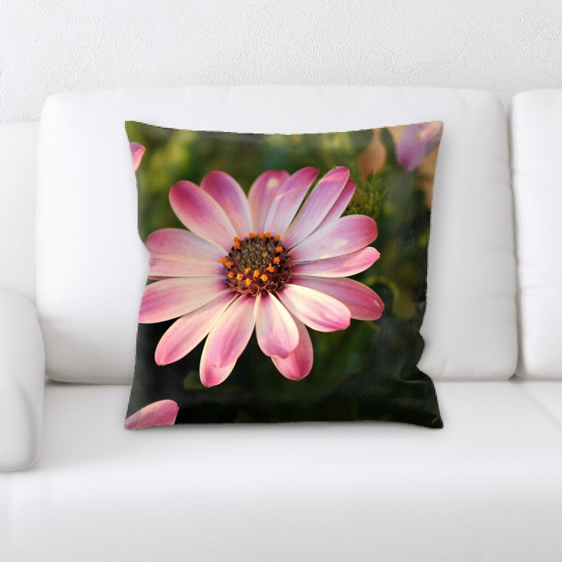 Coussin marguerite de bornholm