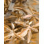 Aviary 1 - Light Candle Wall Light