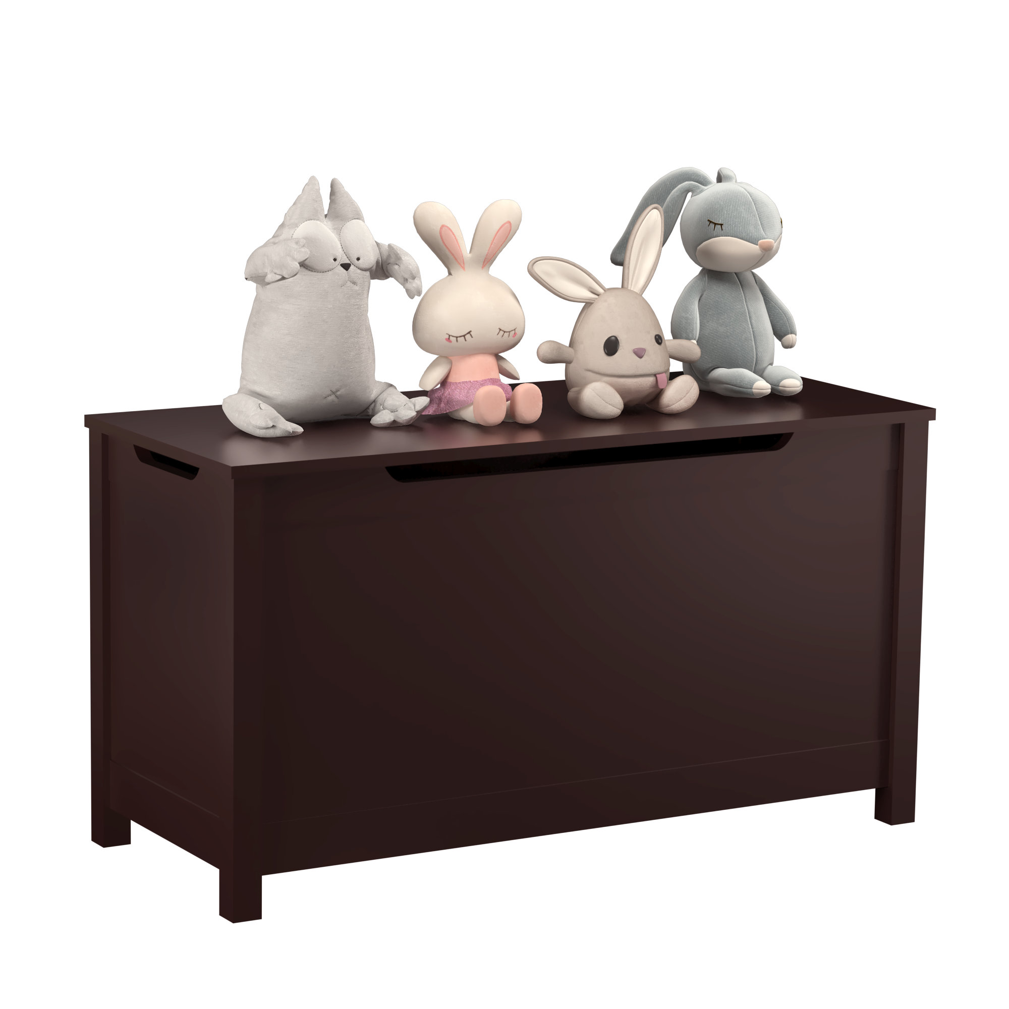 Ebern Designs Ennassim Ebern Designs Toy Box with Safety Hinged Lid & Reviews | Wayfair