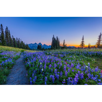 Mont Rainier - photographie sur toile tendue