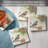 Bluebird 4-Pack Tumbled Tile Stone Coasters