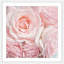 Sylvia Cook - Single Picture Frame Print-233143103