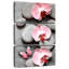 Harnek zen rose orchidées et papillon-106046386