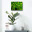 «Green Design 1» par PhotoINC Studio-1282689464