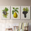 Antique Fruit VI - ensemble de 3 reproductions d'art sur toile-1071139948-1071139947