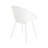 Gable Dining Chair(Set Of 2)-1596256018