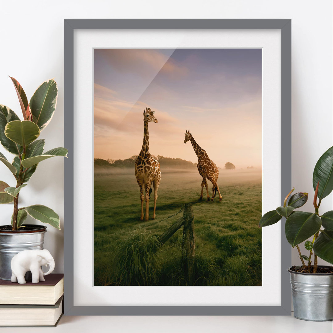 Gerahmtes Poster Surreal Giraffes