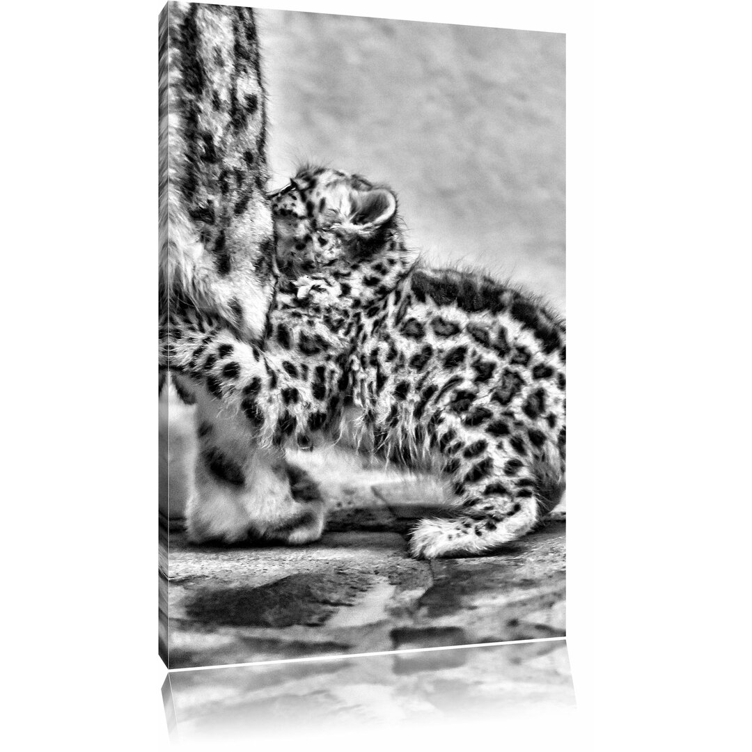 Leinwandbild Kleiner Leopard beim Spielen in Monochrom