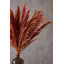 117cm Faux Pampas Grass Grass-2128551240