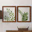 Botanical Wash I - ensemble de 2 reproductions-463140522-463140521-463140523