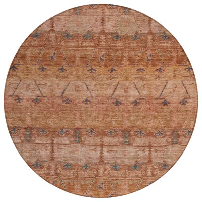 Machine Washable Indoor/Outdoor Chantille ACN2724 Global Rug