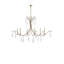 Marshallia 6 - Light Chandelier