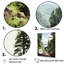 «Majestic Giants Pine Tree I», reproduction sur toile-710311163-710311141