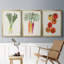 Toile encadrée organique Premium Veg II - prête à être accrochée-69982963-69982964