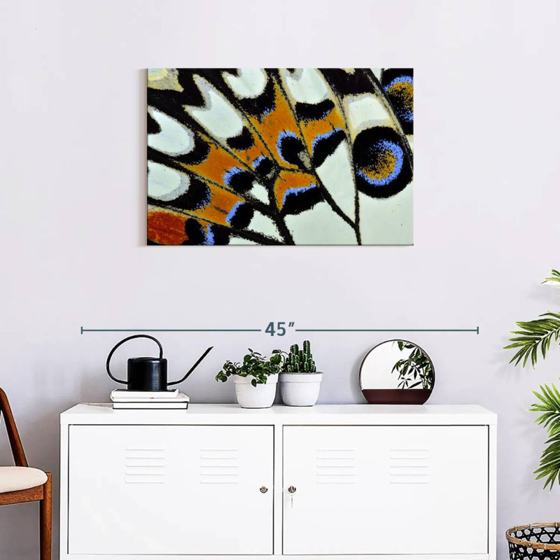 Brampt Butterfly Wing Close Up, 20" H x 30" W
