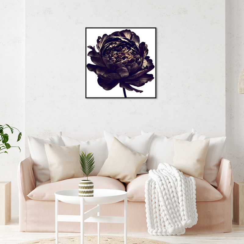 Pivoine noire - Impression sur toile, Cadre noir, H 31 po x l 31 po