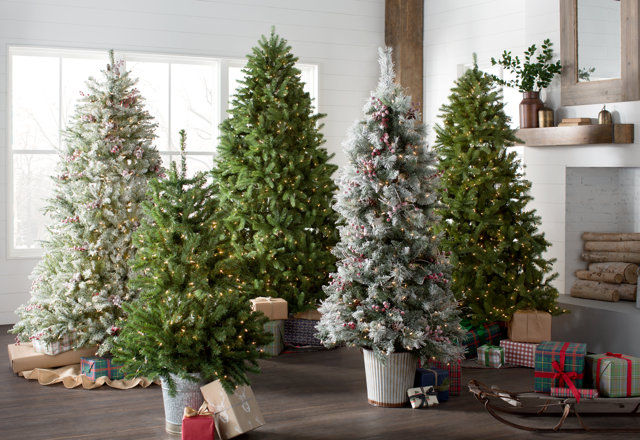 On Sale Now: Christmas Trees