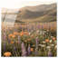 Lavender Hill Print by Oliver Gal-2031100445-2031100446