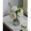 Plante de 13 po-103117141