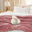 Bedsure Flannel Fleece Blanket for Girls, 300 GSM Soft and Cozy Blanket for Dorm & Home Decor, All-Season Gift-456233773-456233941