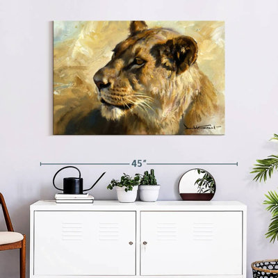 Lioness Study