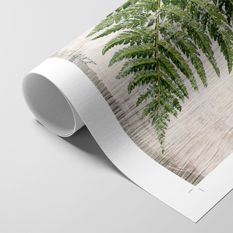 Greenhouse Fern II - impression sur toile seulement - non encadrée, H 36 po x l 24 po