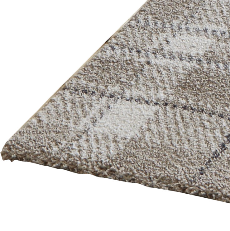 Macfoy Handwoven Beige/Gray Rug