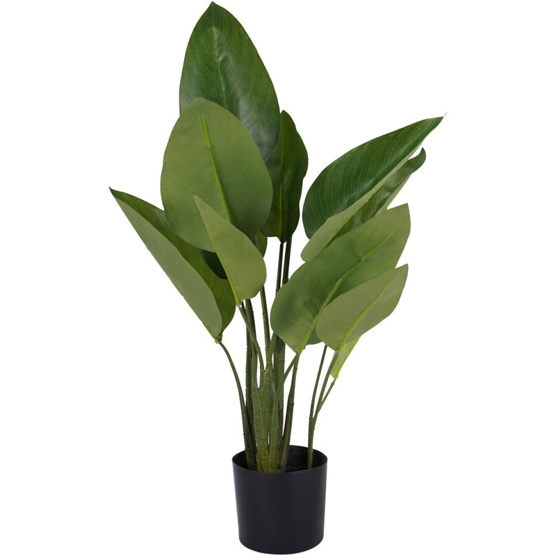 Anastos 70 cm H Faux Plant
