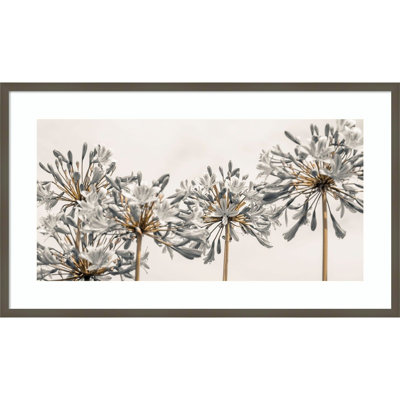 «African Lily Flowers II» par Assaf Frank - impression d'un seul cadre