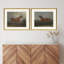 Impression sur toile «Sea Fan II S / 3» par Vision Studio