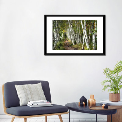 " A Walk Through The Birch Trees " by Danny Head