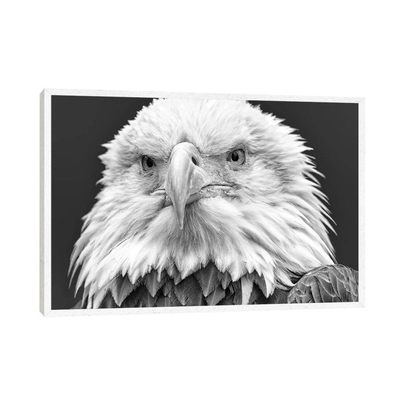 I See You! by David Gardiner - Print on Canvas, White Framed, 66.04 cm H x 45.72 cm W