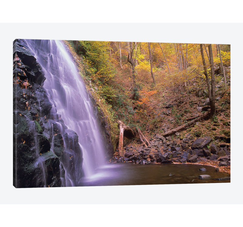 « crabtree automne, automne forest, blue strie parkway, caroline du nord », reproduction d’impression sur toile