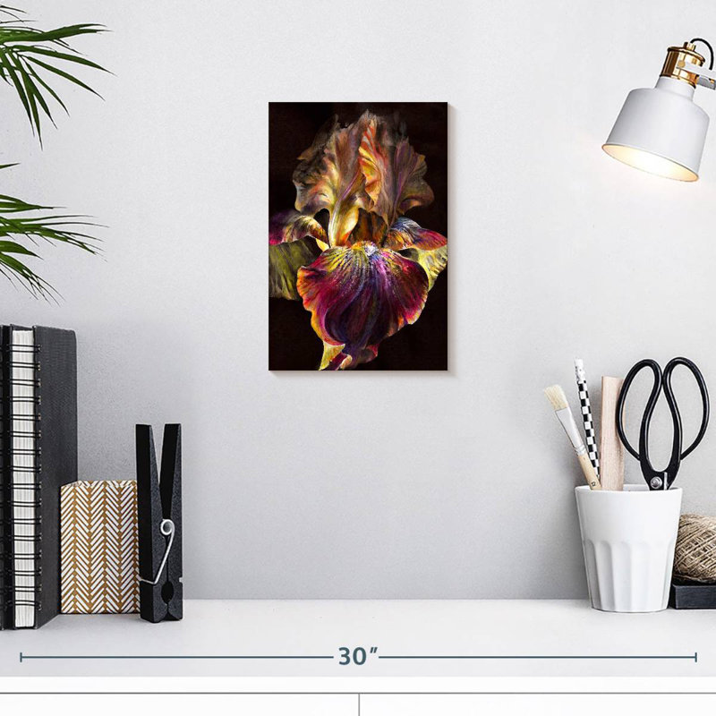 Harnek Iris, 12" H x 8" W