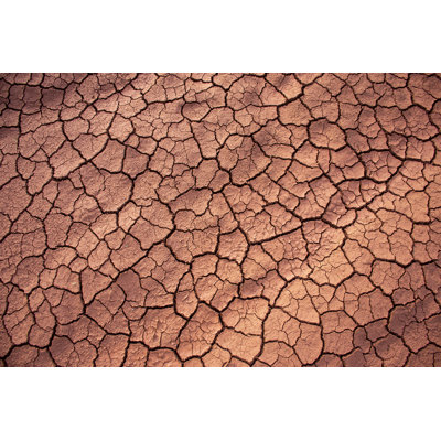 Dry And Cracked Soil by IltonRogerio - Wrapped Canvas Print