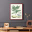 Buchoz Tropicals IV Framed Print - Solid Wood-1350313303-1350313302