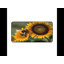 Polyester Desk Pad-1560076681