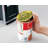 Hamilton Beach SmoothTouch Electric Automatic Can Opener with Easy Push Down Lever, Eliminates Sharp Edges, Opens All Standard-Size and Pop-Top Cans, Extra Tall