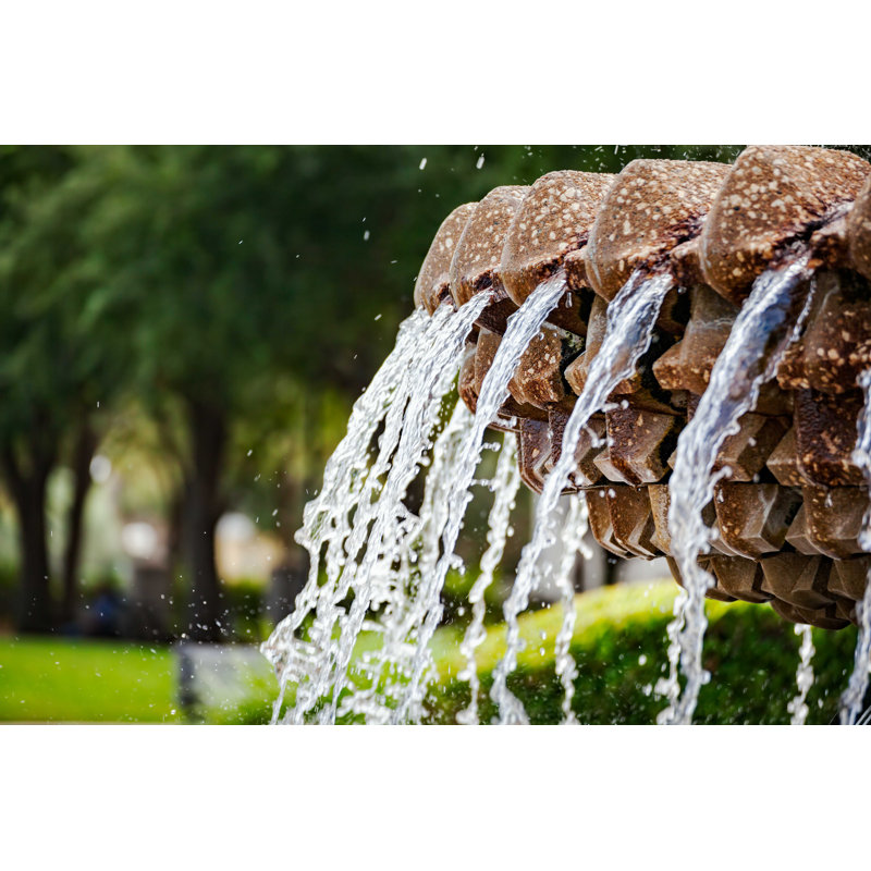 Pineapple Fountain - Photographie sur toile tendue, H 8 po x l 12 po