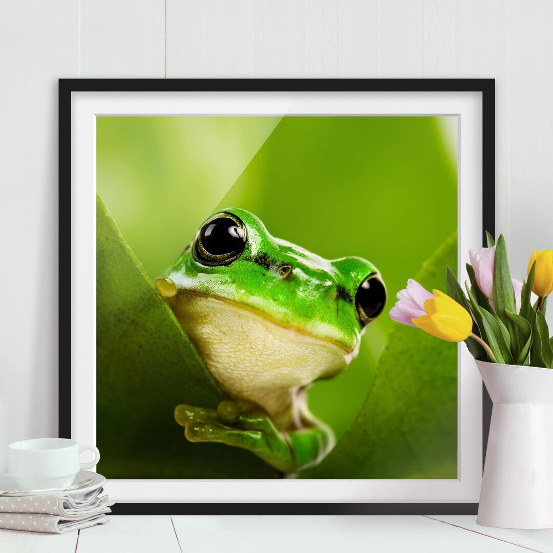 Gerahmtes Papierbild Wetterfrosch