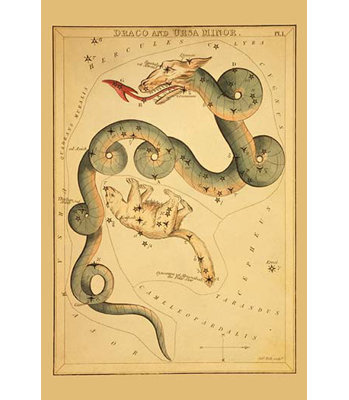 " Draco And Ursa Minor " by Aspin Jehosaphat