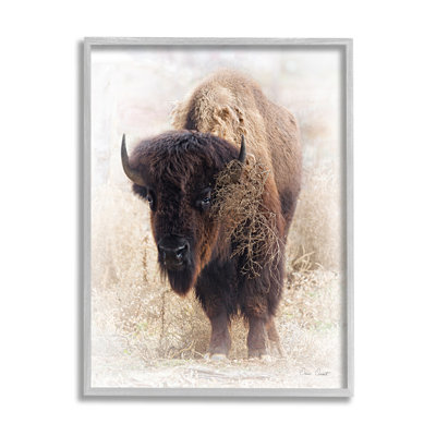 Ax-619-Giclee " Bison Grazing " by David Drost
