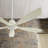 Ximena 56'' Ceiling Fan with Light Kit-33199860