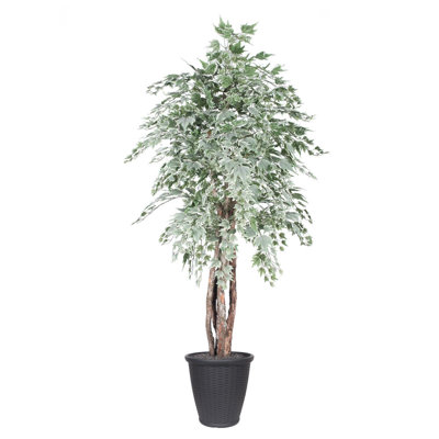 72 " H Faux Tree in Plastic Pot